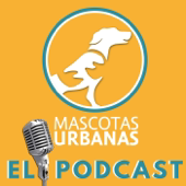 perrosypunto