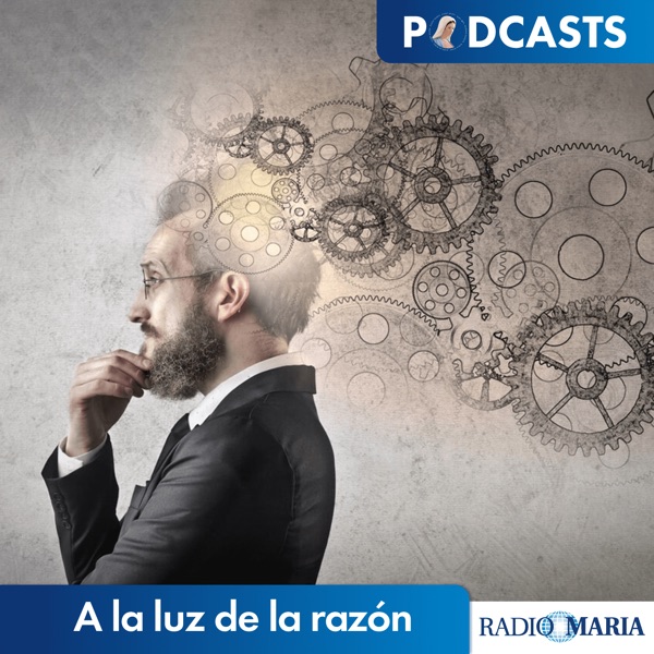 A la luz de la razón