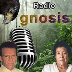 Radio Gnosis